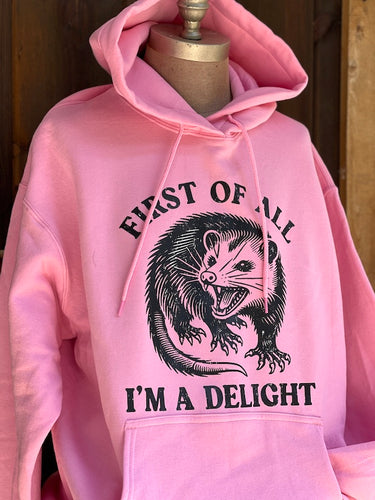 Hoodies with humor